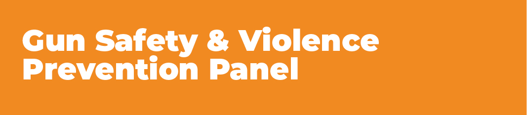 Gun Safety Violence Prevention Panel